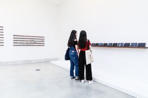 Hajra Waheed, ‘A Short Film 1-321’ (2014) and ‘Avow 1-38’ (2017). The 57th International Art Exhibition La Biennale di Venezia VIVA ARTE VIVA (13 May–26 November 2017). Courtesy Ocula. Photo: Charles Roussel.